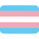 transgender flag