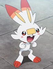 happy scorbunny!!